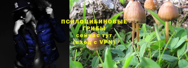 соль ск Арсеньев